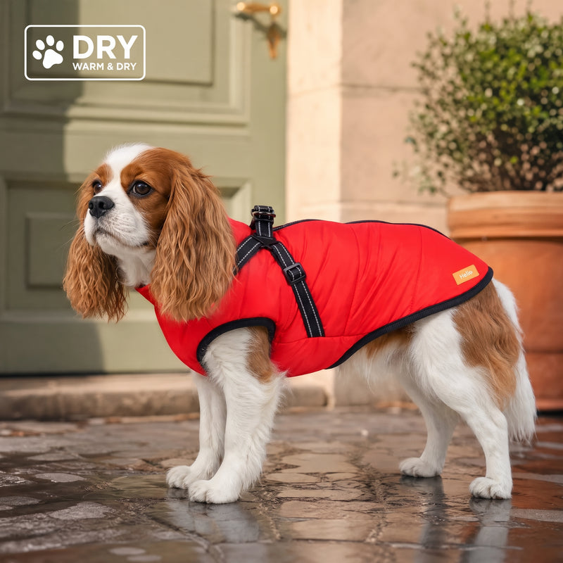 3-in-1 Waterproof Dog Coat with Integrated Harness — 1