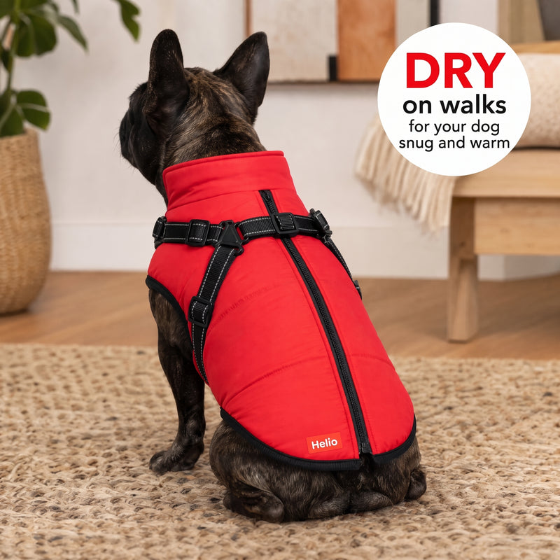 3-in-1 Waterproof Dog Coat with Integrated Harness — 2